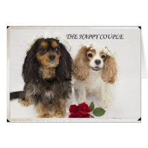 The Happy Couple Cavalier King Charles Spaniel Greeting Card