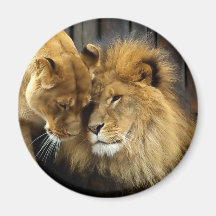 The Happy Lion Couple Fridge Magnets