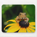 The Harbinger - Toad on Black-Eyed Susan Mousepad