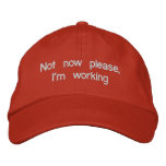 The Hat of Not Now embroidered hats