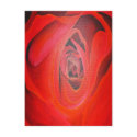 The Heart of the Rose postcards