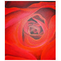 The Heart of the Rose t-shirts