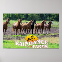 The Herd Poster