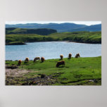 The Highlands posters
