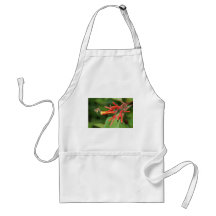 The Honey Bee Aprons