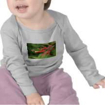 The Honey Bee T Shirts