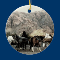 the Horses ornaments
