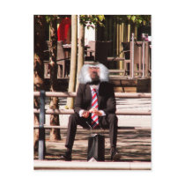 The human ape