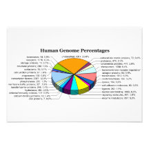 The Human Genome with Number and Percent of Each Announcement