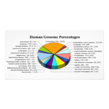 The Human Genome with Number and Percent of Each Custom Photo Card