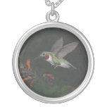 the humming bird pendant