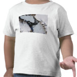 The ice island t-shirts