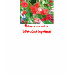 The Impatiens Flower t-shirts