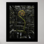 The inner garden posters