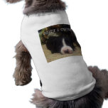 The innocence of the pit bull. pet clothing