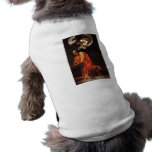 The Inspiration of Saint Matthew, Caravaggio pet clothing