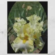 The Iris Flyers