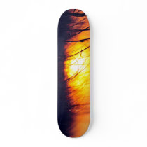 The Jersey Shore Collection Skate Decks