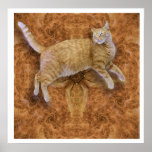 The Joy of Being Orange posters