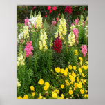 The Joy of Spring posters