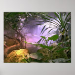 The Jungle posters