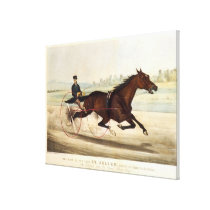 The King of the Turf, 'St. Julien' Gallery Wrapped Canvas