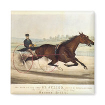 The King of the Turf, 'St. Julien' Refrigerator Magnets