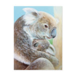 "The Koala cuddle" portrait fine art postcard