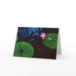 The Koi Cards