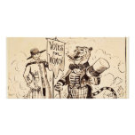 The Lady and the Tiger by Clifford K. Berryman photo cards