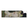 The Lady of Shallot by John Waterhouse Bumper Sticker
