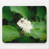 The LadyBug in white flowers Mousemats
