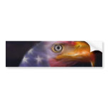 The Land of the Free, Home of the Brave