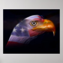 The Land of the Free, Home of the Brave