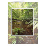 The Last Forest cards