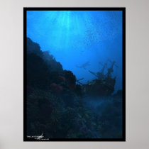 The Last Guardian Posters