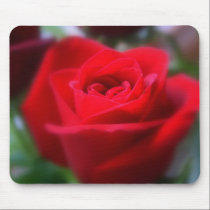 The Last Rose Of Summer mousepads