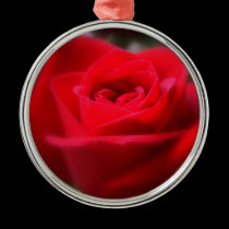 The Last Rose Of Summer ornaments