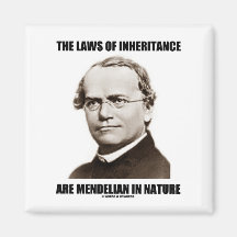 The Laws Of Inheritance Are Mendelian In Nature Fridge Magnet