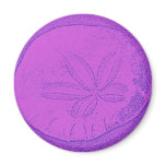 The Legend of the Sanddollar magnets