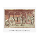 The Life In The Hospital By Jacopo Pontormo postcards