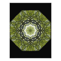 The Light Above Photographic Print