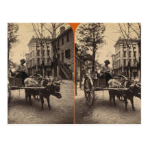 The Lightning Express, Savannah, Ga c. 1886 Post Card