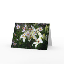 The Lilies and The Anemones Cards
