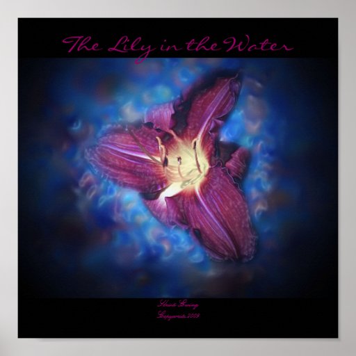 The Lily in the Water Print