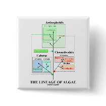 The Lineage Of Algae Pins