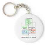 The Lineage Of Algae Key Chain