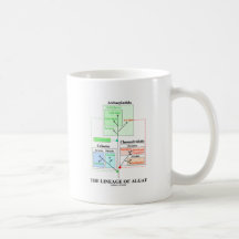 The Lineage Of Algae Mugs