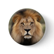 The Lion Pin