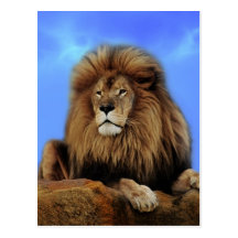 The lion king postcard